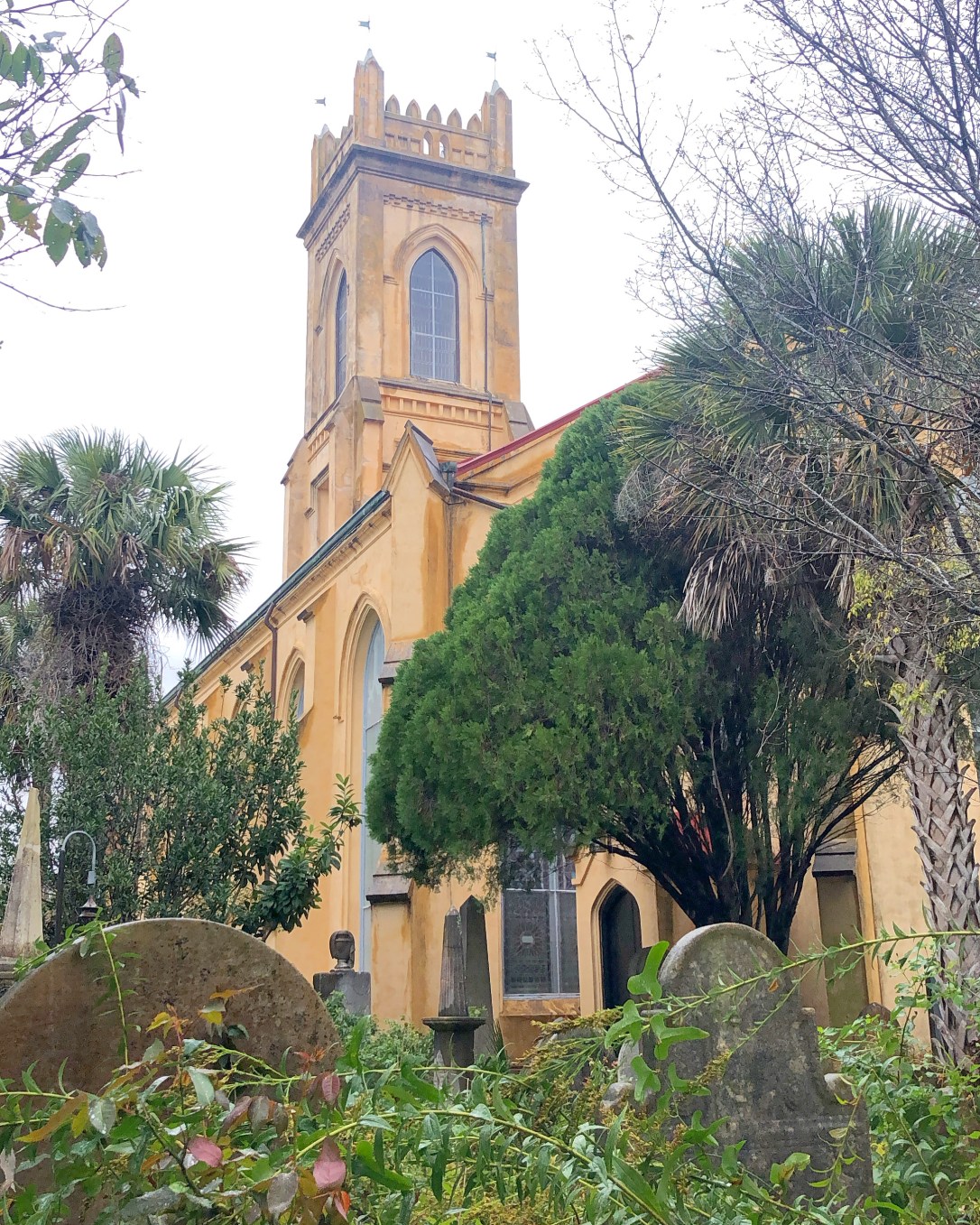 1A466428-D486-44E6-8631-BFD6D4821392