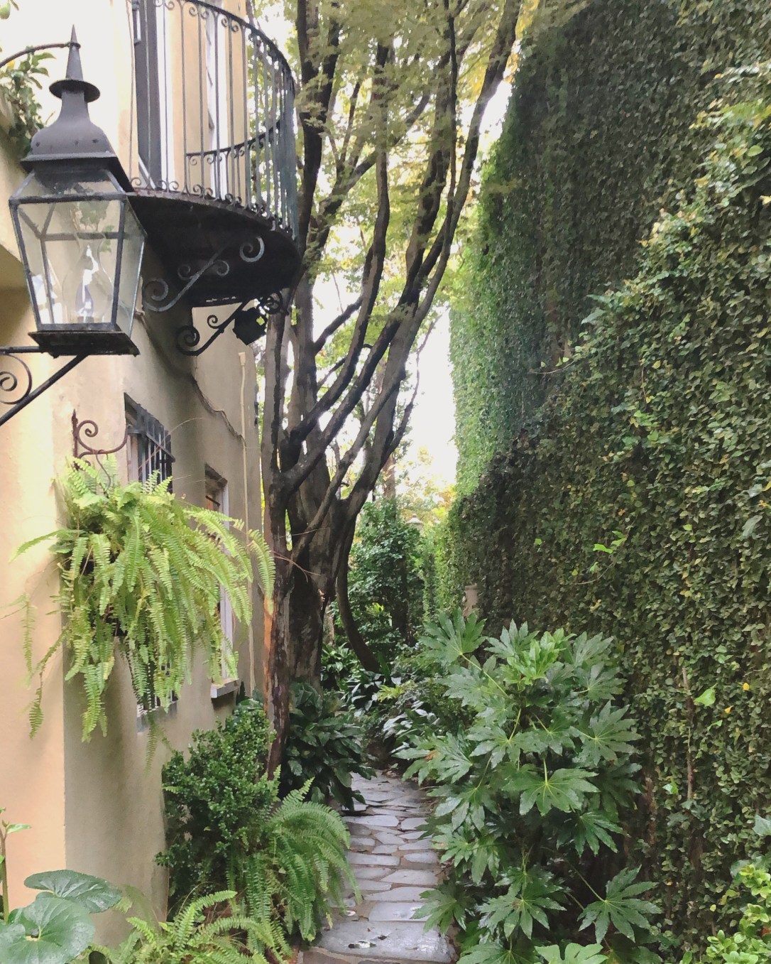 E5E4A873-9433-489A-9750-D0F9EAFCD34F