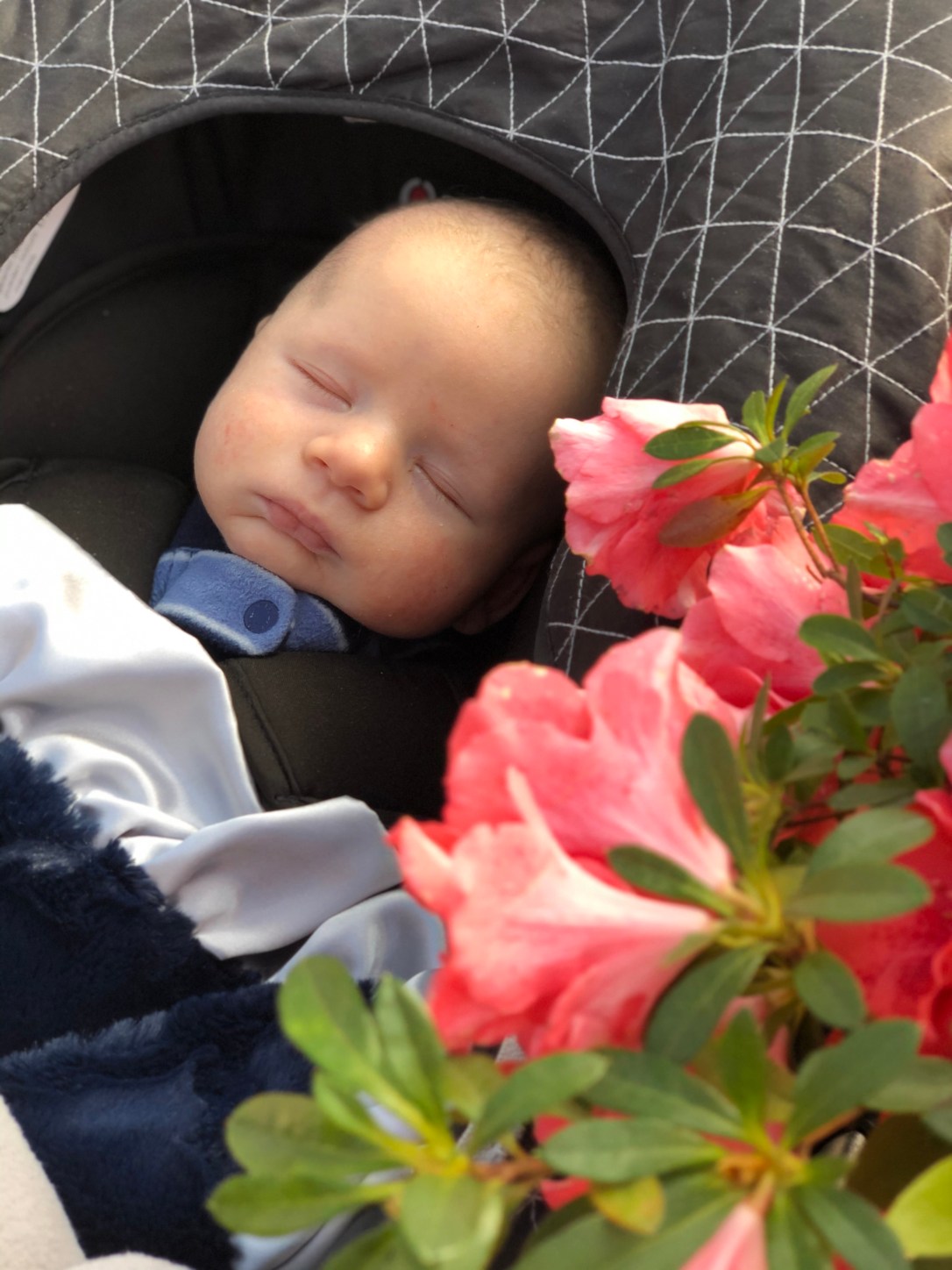 0a820a8d-5947-4711-9faa-c810c6aeae6d