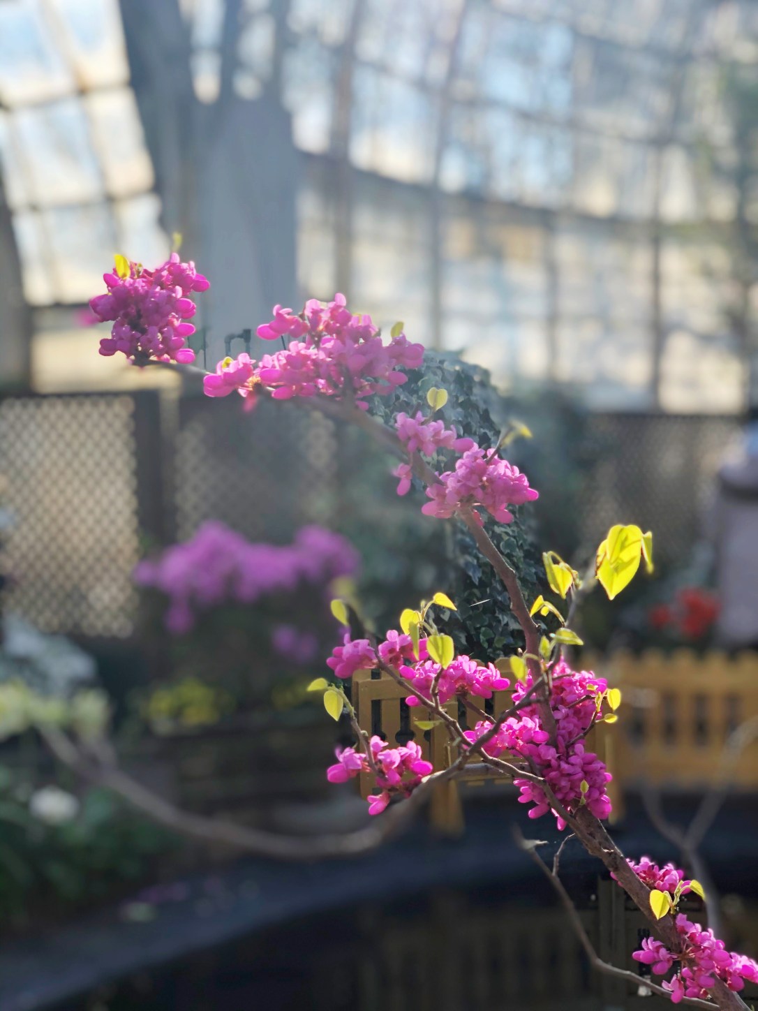 320e7394-d993-4774-b3b8-9d8c0778d016