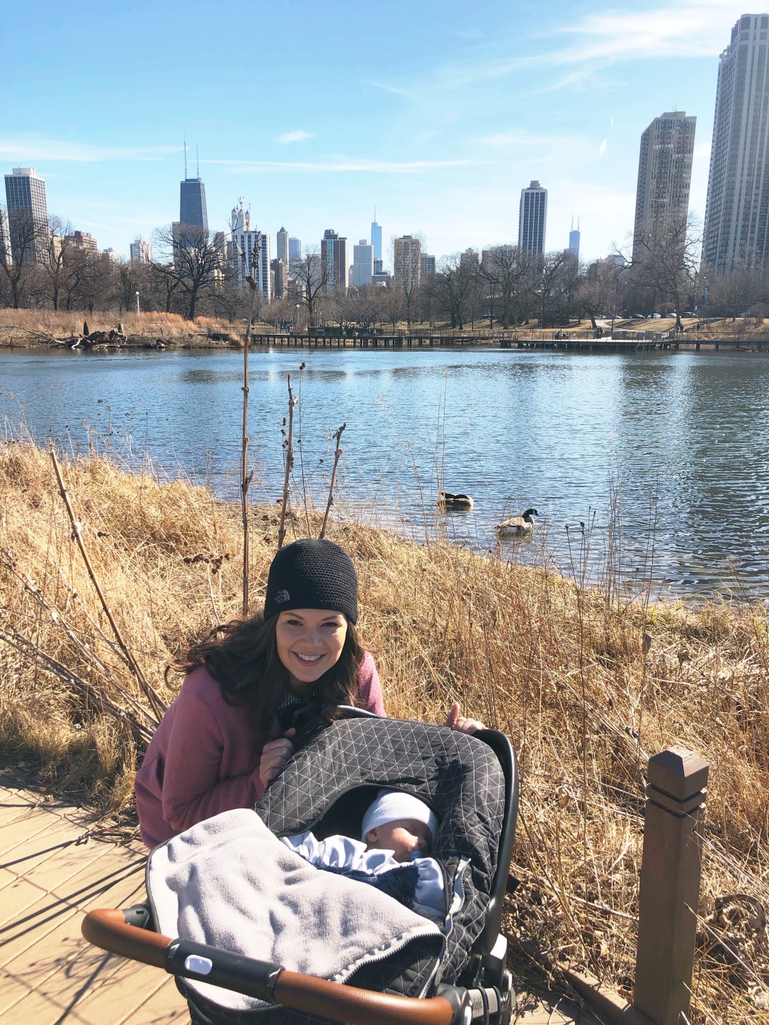 3a2fc894-eb8a-4c23-ade2-afcd872bf3b7