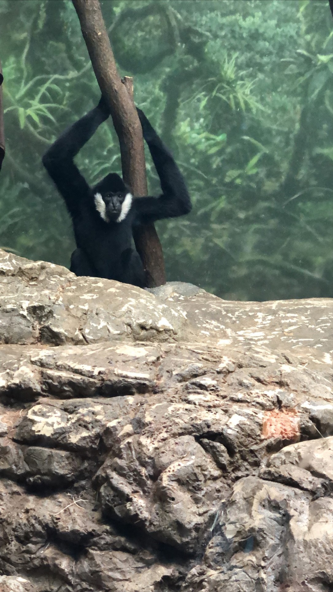 acb19cb2-458f-45ef-ab43-88b960e8c41d